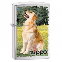Zippo aansteker Golden Retriever Design