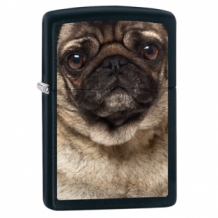 Zippo aansteker Pugface